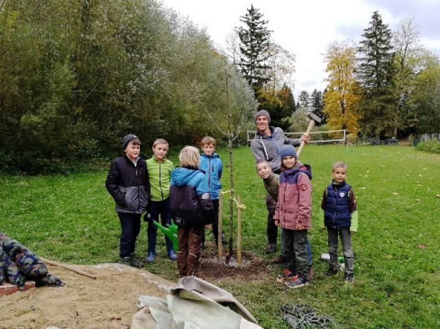 Kinder stehen rund um jungen Baum