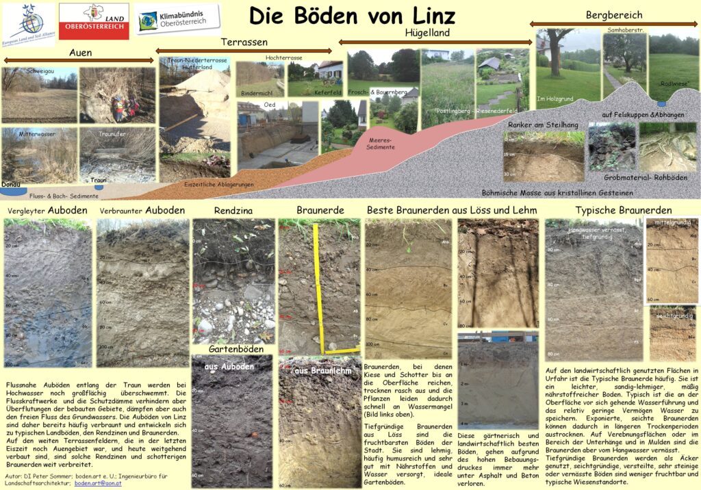 Darstellung der Böden in Linz