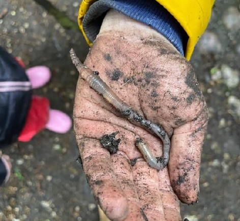 Regenwurm auf erdiger Kinderhand
