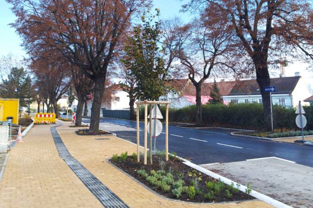 Busbahnhof Mistelbach