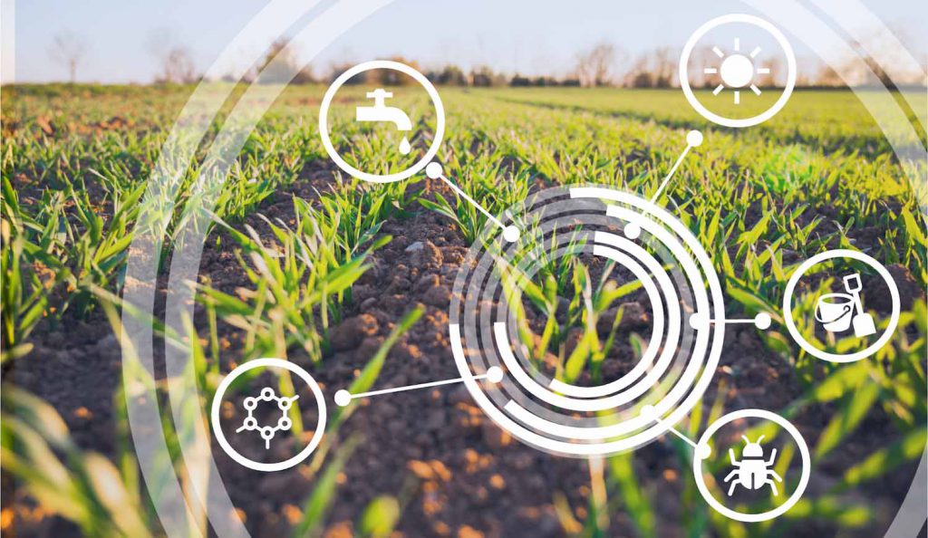 Feld mit digitalen Zeichen im Vordergrund