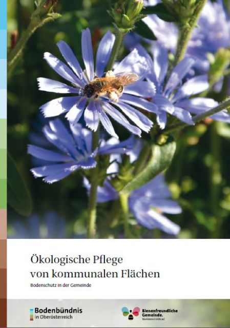 Ökologische Pflege