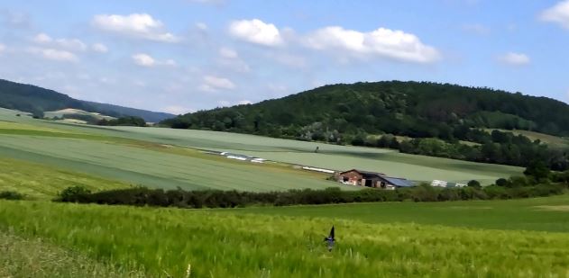 Landschaft mit Weiden und Wald