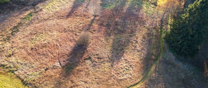 Die Stadlerwiese, eine Feuchtwiese in Ottenschlag.